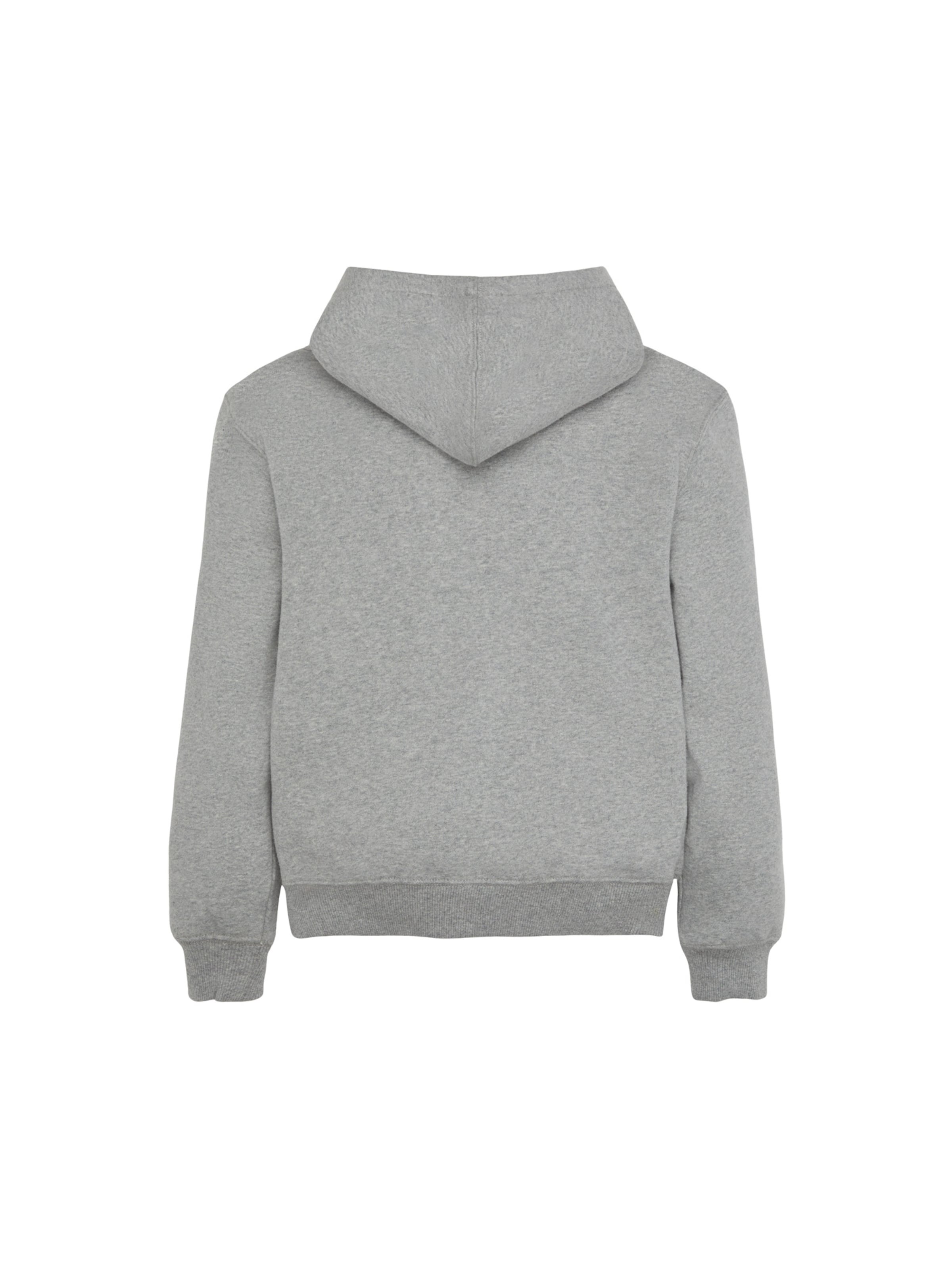 DICKIES - Sudadera 'Youth Oakport' en gris