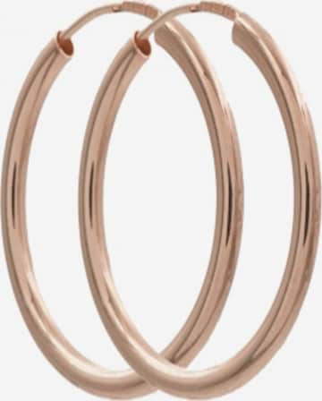 Fiocco Jewelry Earrings 'Hoops' in Gold: front