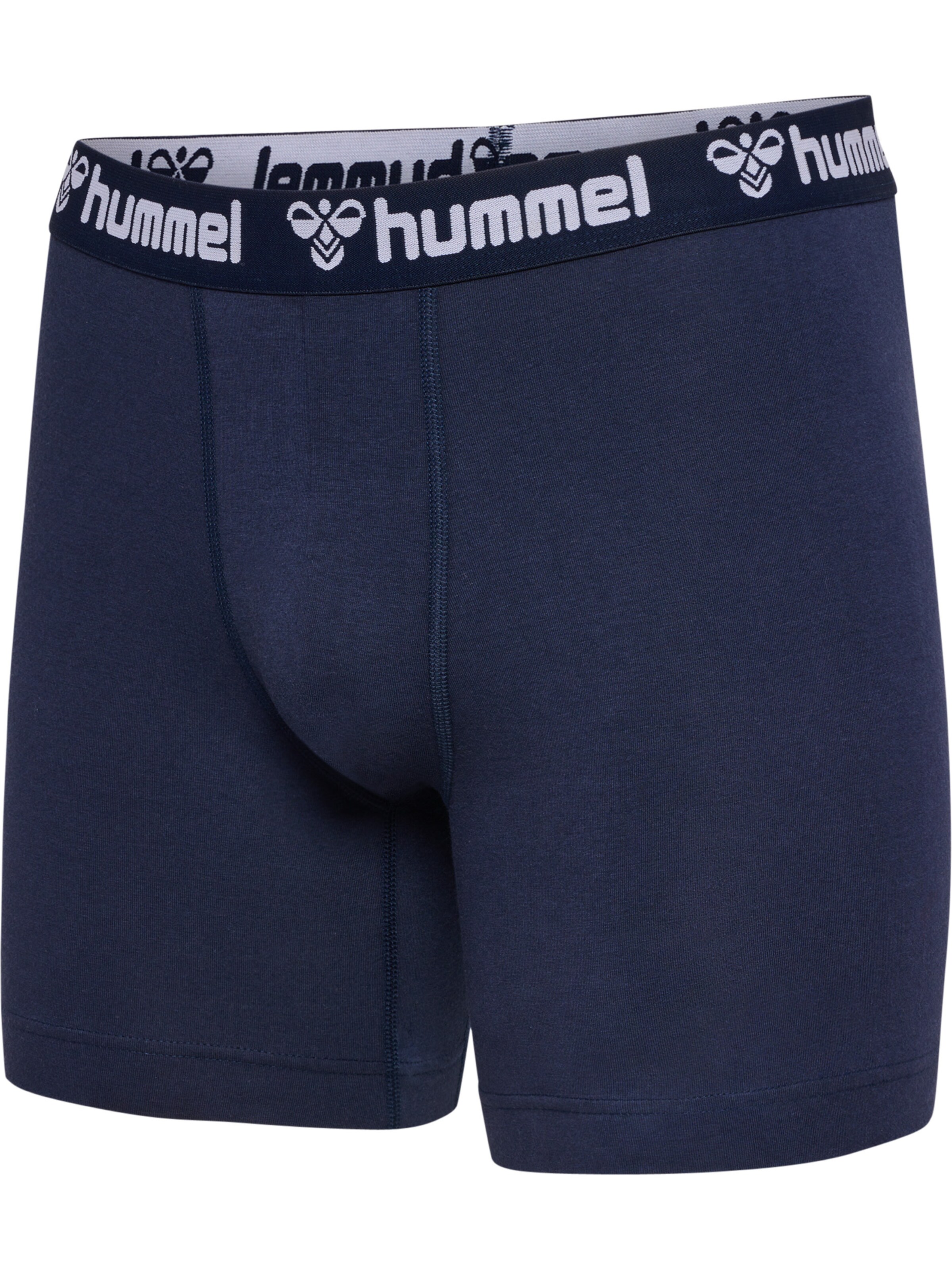 Hummel Boxer shorts in Blue