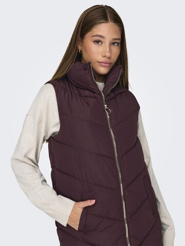 Gilet 'Finno' JDY en marron