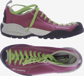 Scarpa Sneakers & Trainers in 36,5 in Pink: front