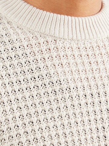 JJ Rebel Pullover 'JREBCARTER' i beige