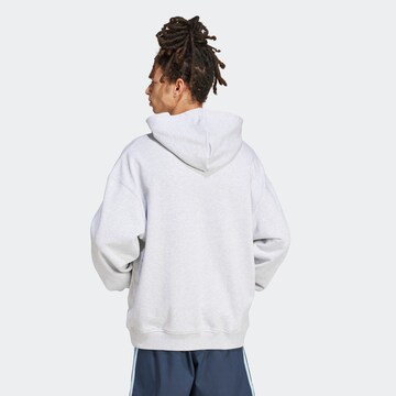 ADIDAS ORIGINALS Sweatshirt in Grey