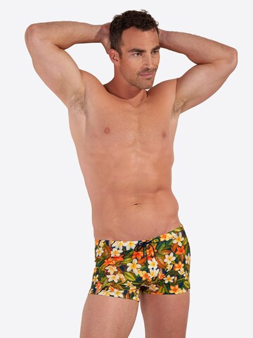 HOM Badeshorts ' Swim Shorts Etna ' in Grün