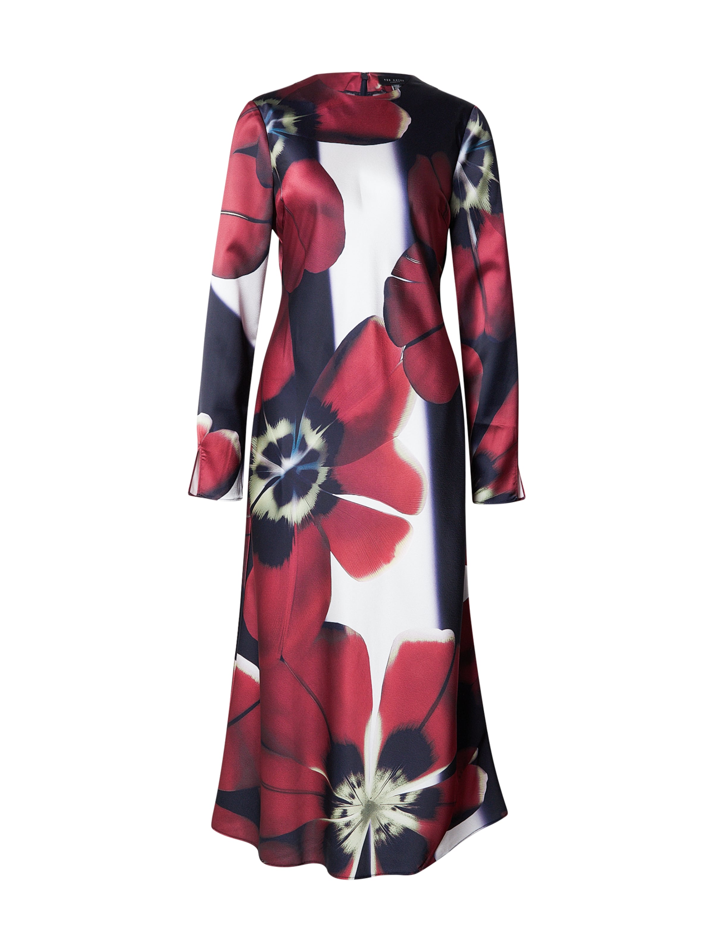 Ted Baker Kleid 'NEERAH' in Blau: Vorderseite