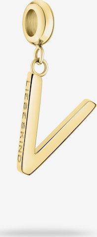 Liebeskind Berlin Anhänger in Gold: Vorderseite