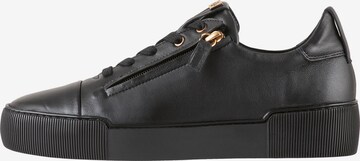 Högl Sneakers 'COMFY' in Black: front