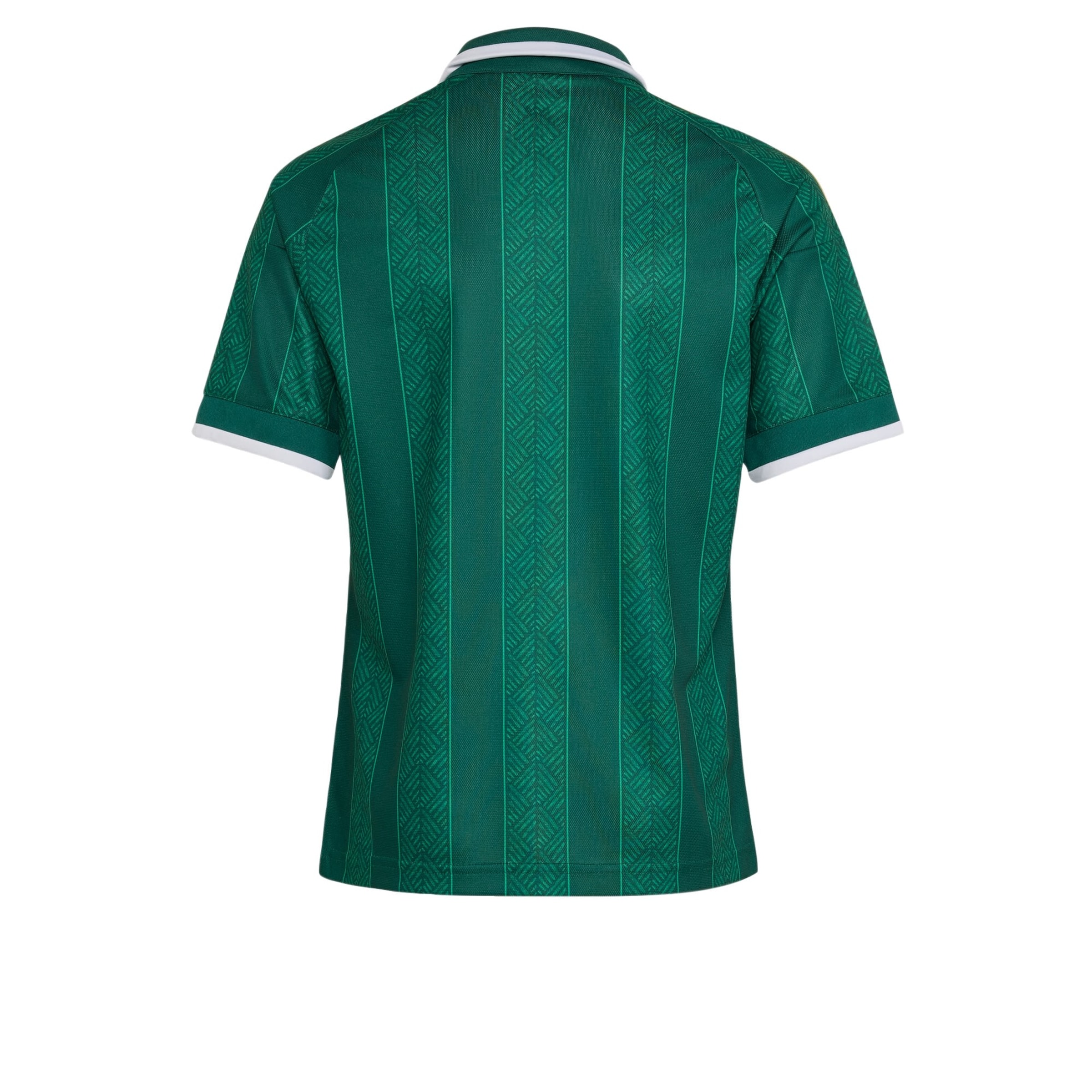 T-Shirt fonctionnel 'Südafrika 26' ADIDAS PERFORMANCE en vert