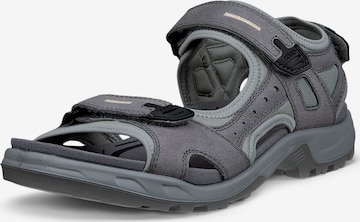 ECCO Sandale 'Offroad' in Grau: Vorderseite