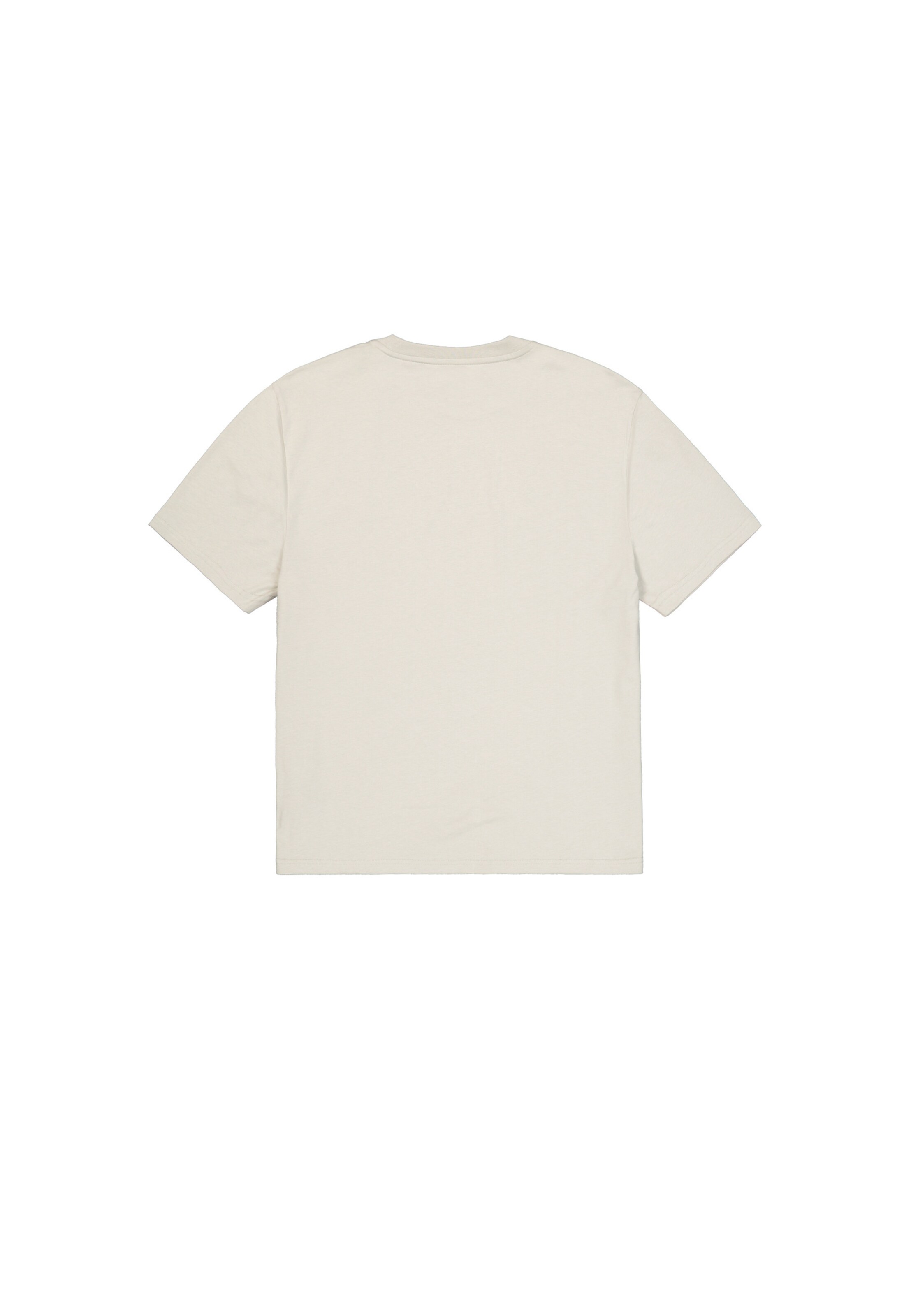 Maglietta 'Dtm' di ALPHA INDUSTRIES in grigio