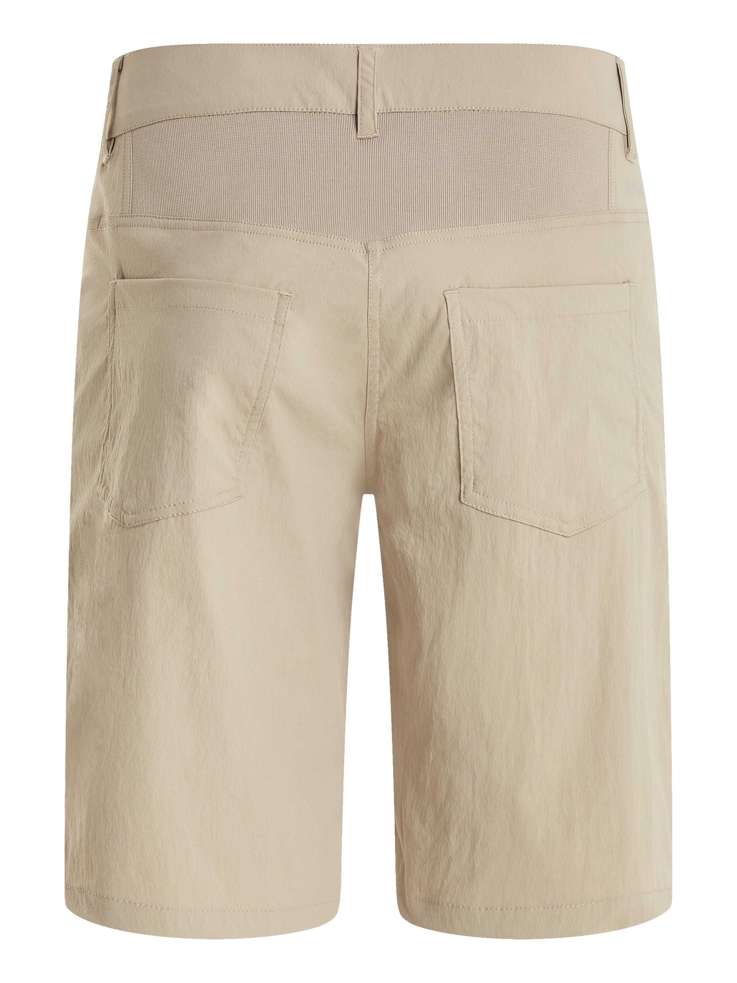 PROTEST Regular Pants 'PRTCEDRO' in Brown