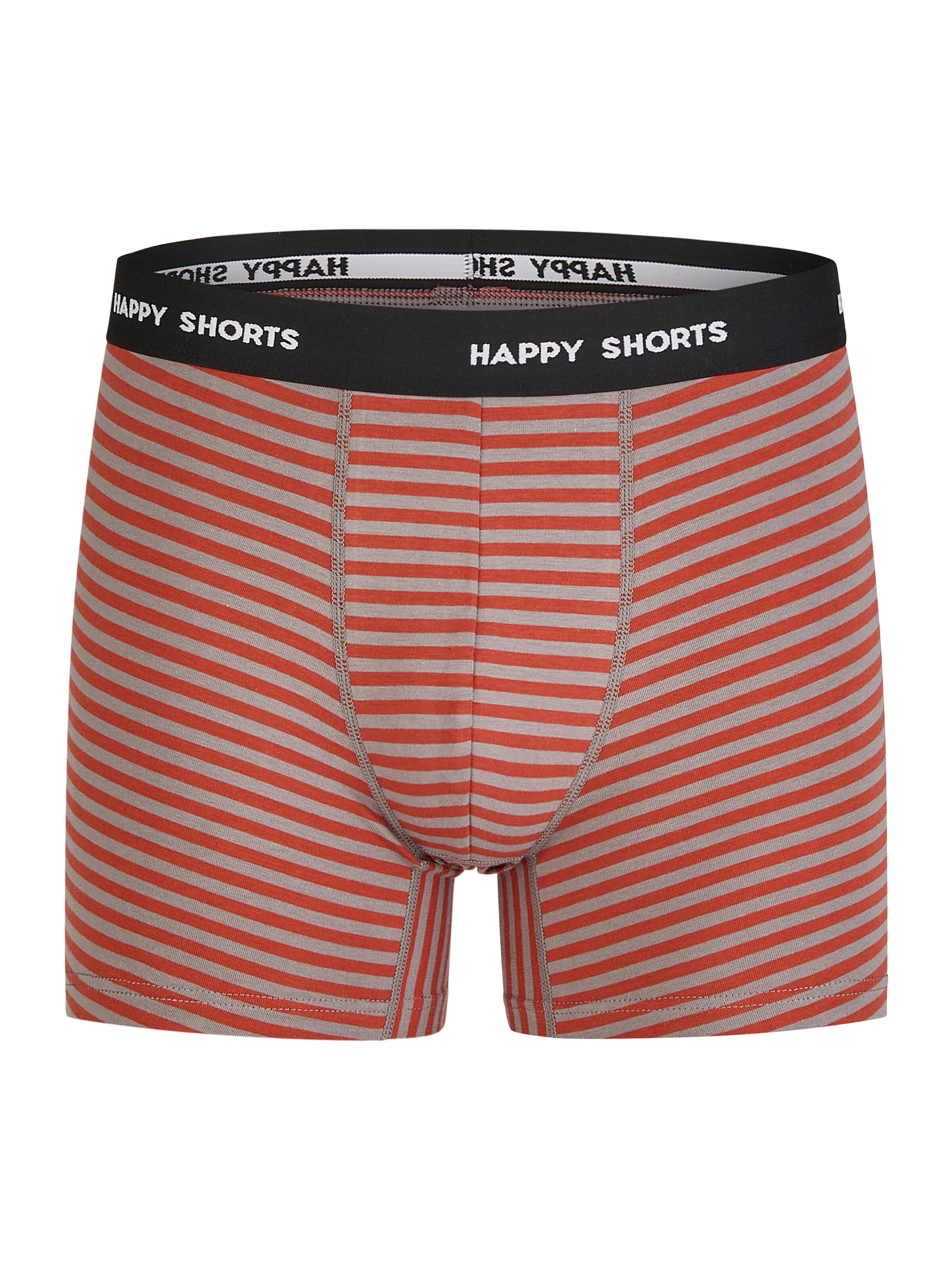 Happy Shorts Retro Pants ' Oktoberparty ' in Grau