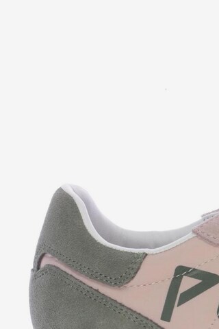 Pepe Jeans Sneakers & Trainers in 39 in Pink