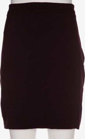 passport Skirt in XXS in Red: front