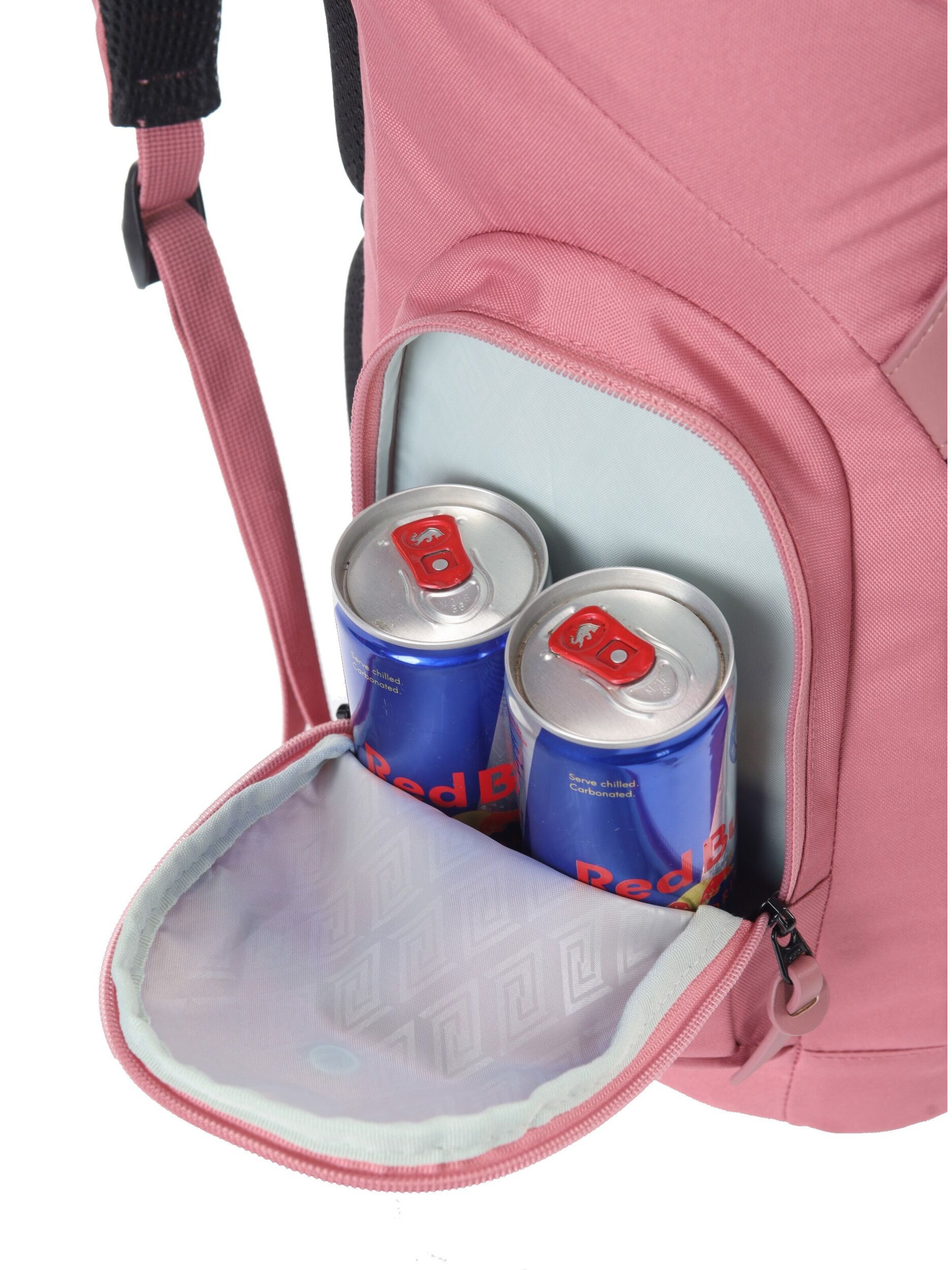 NITRO Rucksack 'DAYPACKER TWO' in Rot