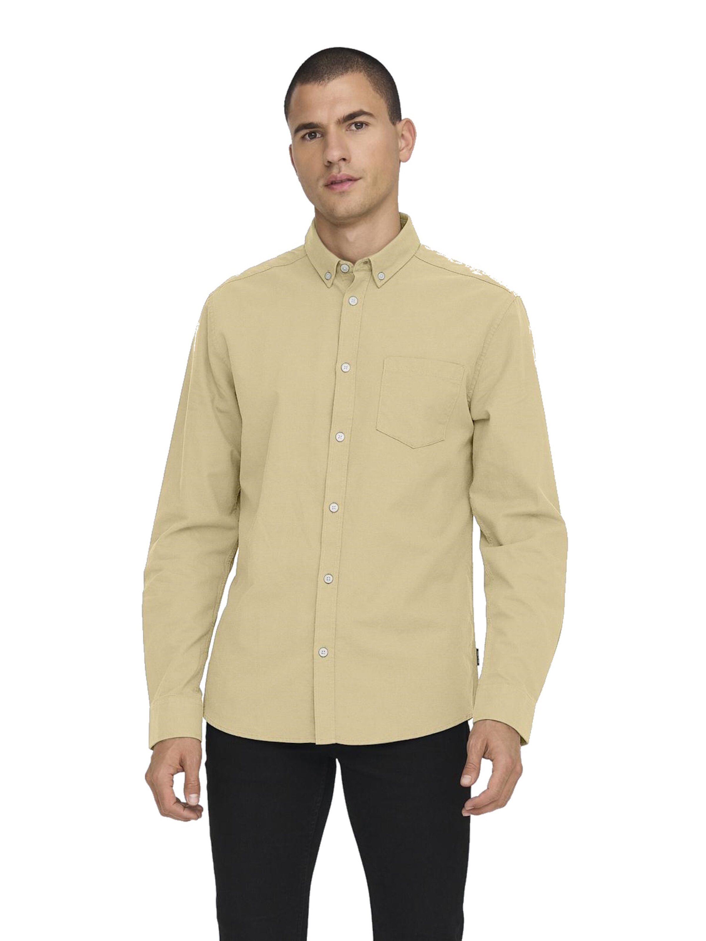 Only & Sons Regular fit Button Up Shirt 'Alvaro' in Beige: front