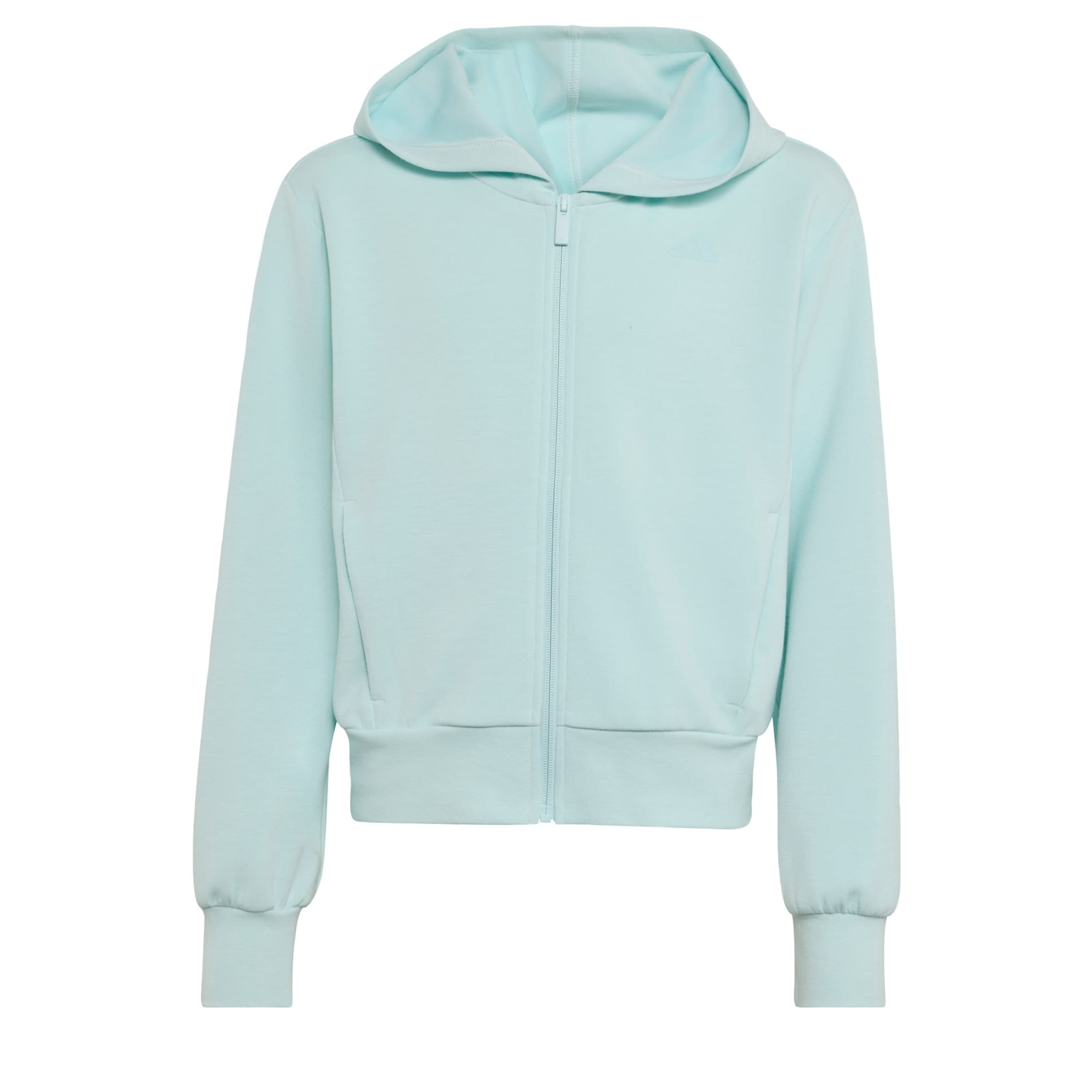 Veste de survêtement ADIDAS SPORTSWEAR en bleu : devant