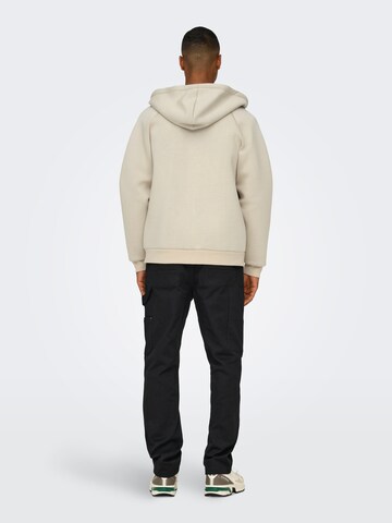 Only & Sons Sweatshirt in Grey