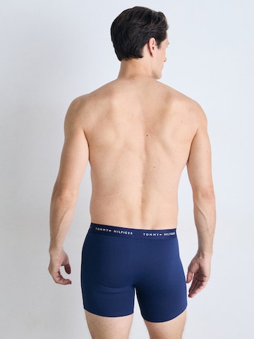 Tommy Hilfiger Underwear Bokserki w kolorze niebieski