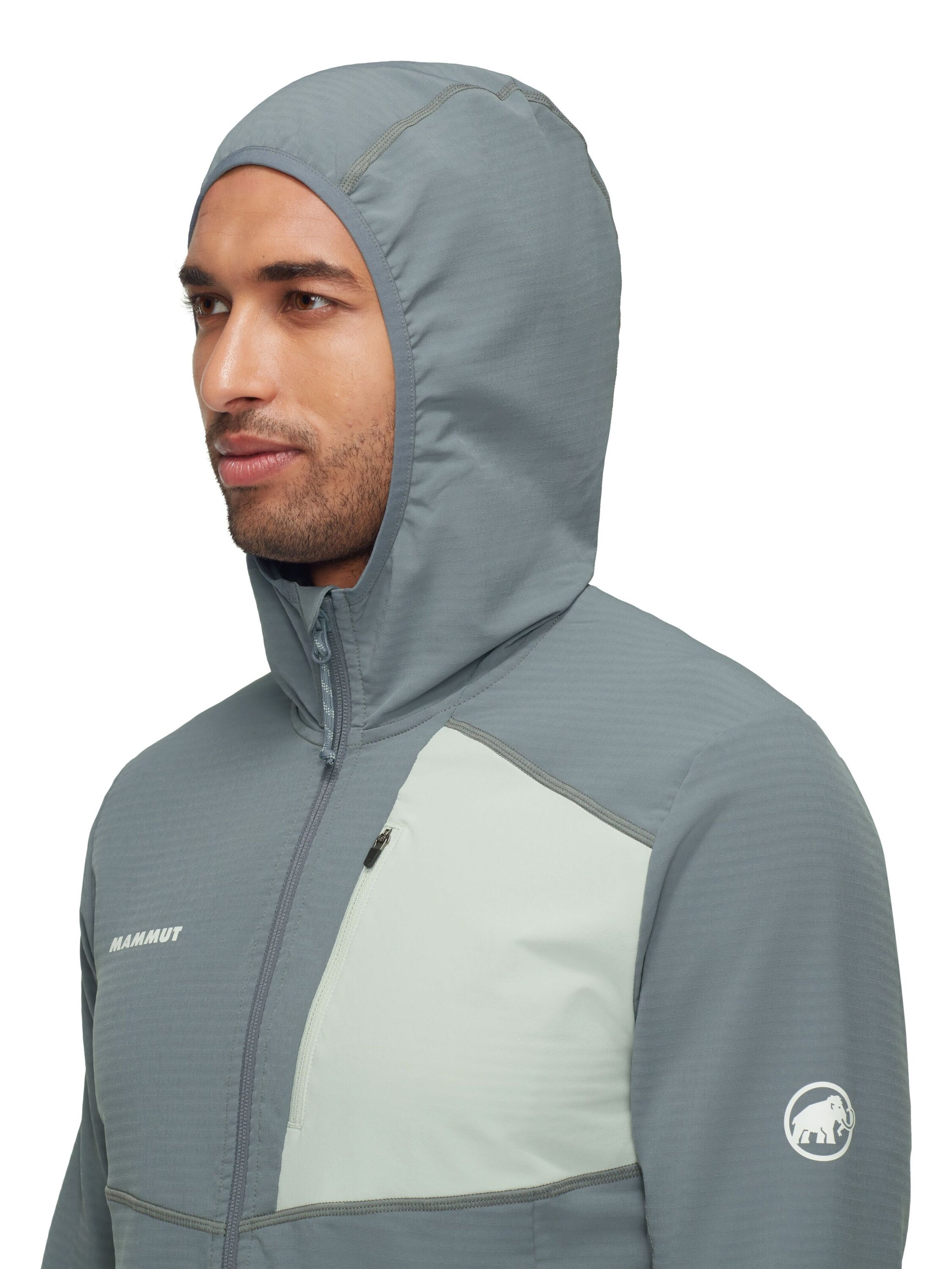 MAMMUT Athletic Fleece Jacket 'Madris Light' in Grey