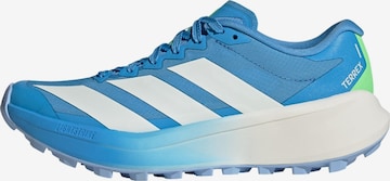 Chaussure basse 'Agravic 4 Trail Running' ADIDAS TERREX en bleu : devant