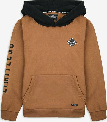 Threadboys Sweatshirt 'Honest' in Brown: front