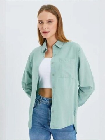 Chemisier MixRay en vert