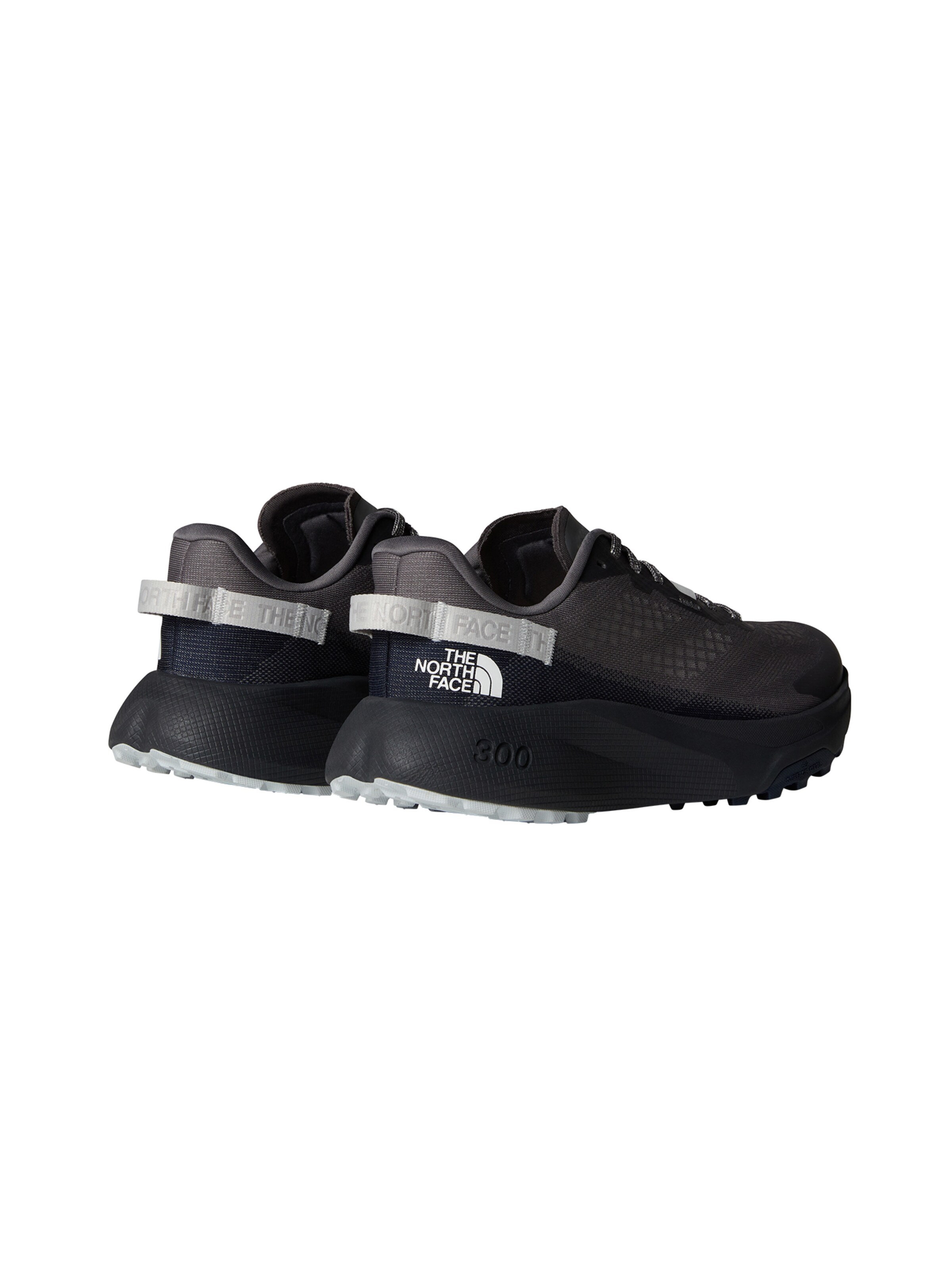Chaussure basse 'Altamesa 300' THE NORTH FACE en gris