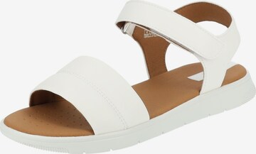 GEOX Sandals in White: front