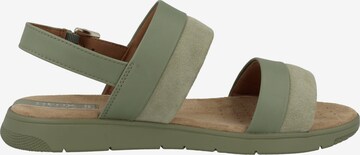 GEOX Sandals 'Dandra' in Green