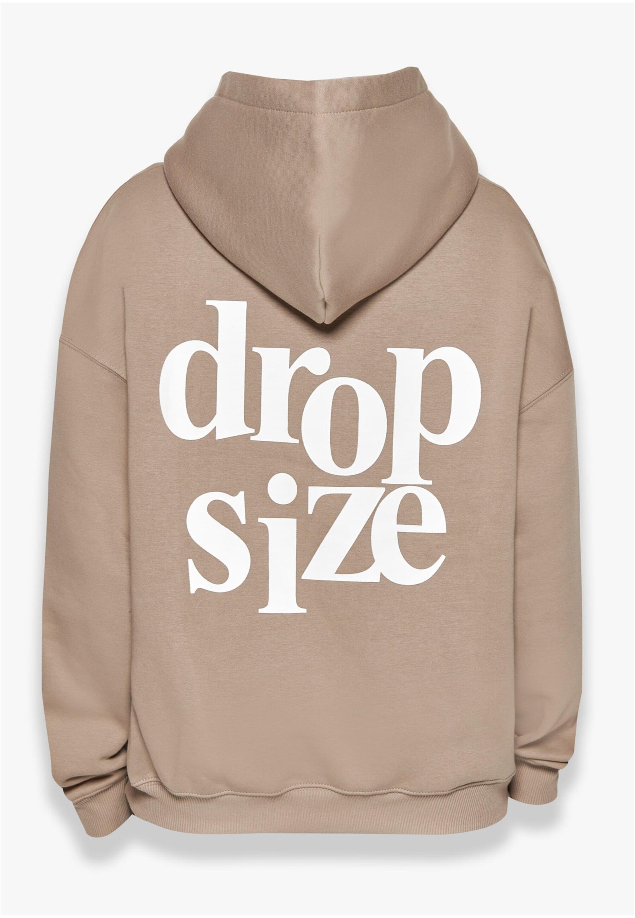 Dropsize Sweatshirt in Silver