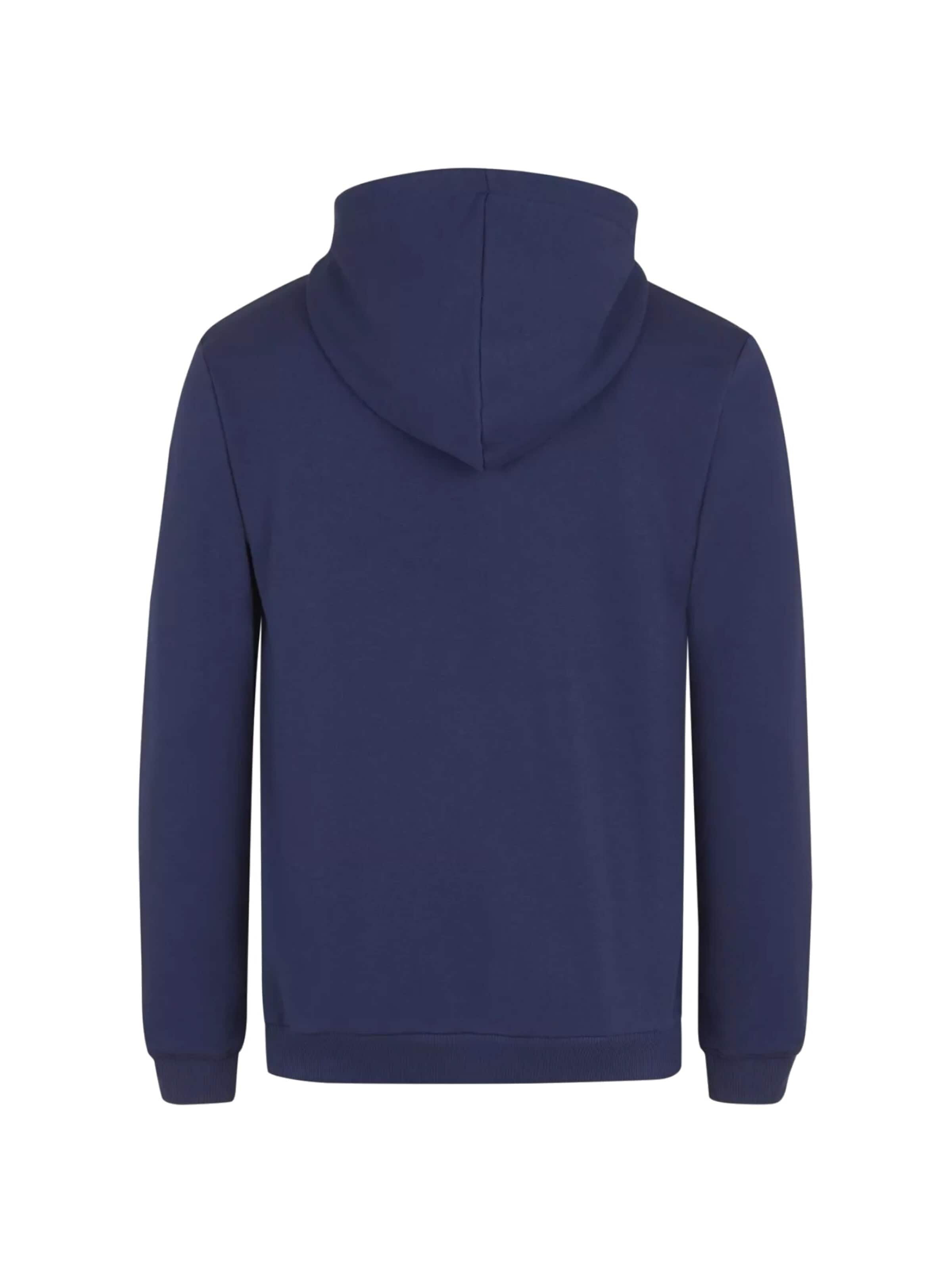 FILA Sweatshirt 'Fila Beltinci Hoody' in Blauw