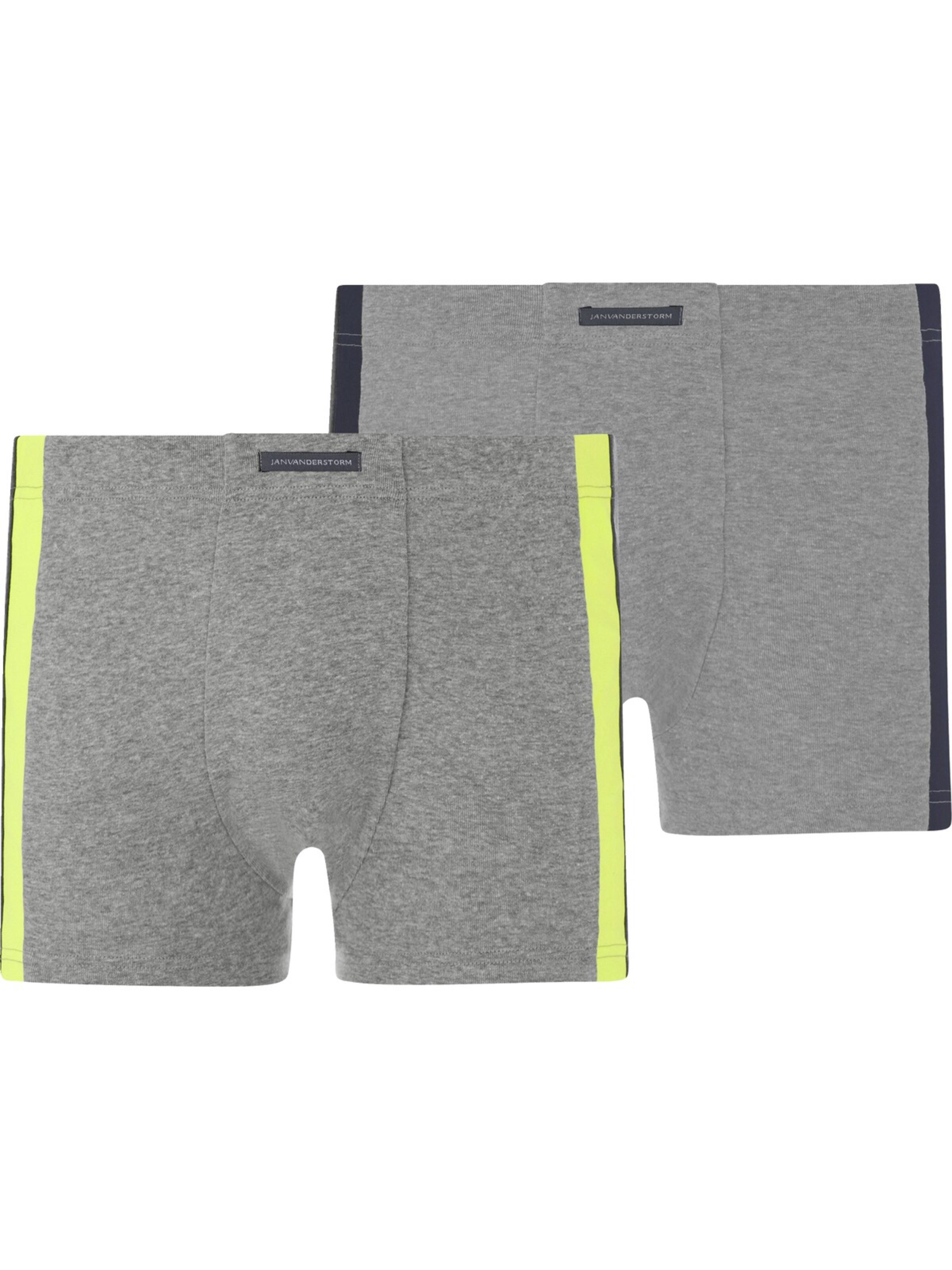 Jan Vanderstorm Boxershorts 'Yngvy' in Grau: Vorderseite