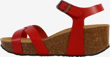 Plakton - Sandalias en rojo: frente