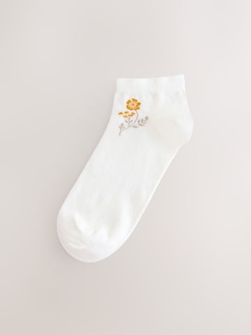 Next Socks in Beige