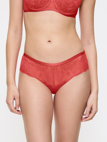 TRIUMPH Slip 'Crazy Stupid Love' in Oranje