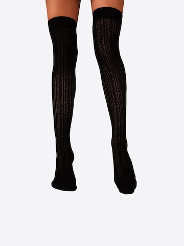 Lycille Over the Knee Socks 'Overknees' in Black: front