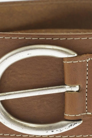 Josephine & Co. Belt in One size in Brown