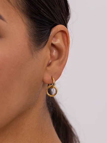 PURELEI Earrings 'Kii Elua' in Gold