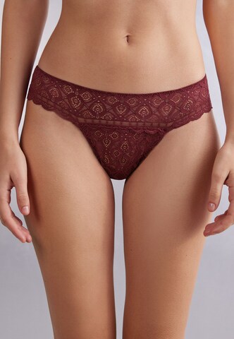 INTIMISSIMI Thong in Red