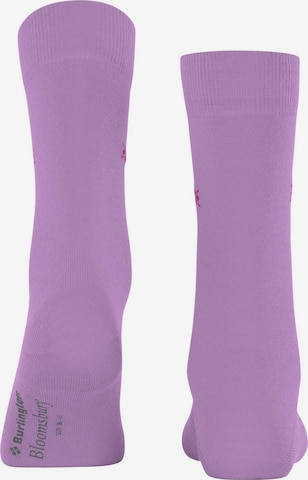 BURLINGTON Socks in Purple