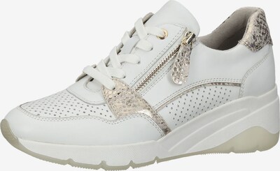 Bama Sneakers in Gold / White, Item view