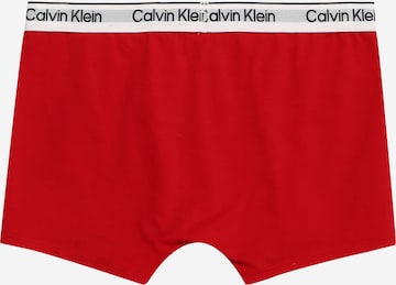 Calvin Klein Underwear Kalsong i blå