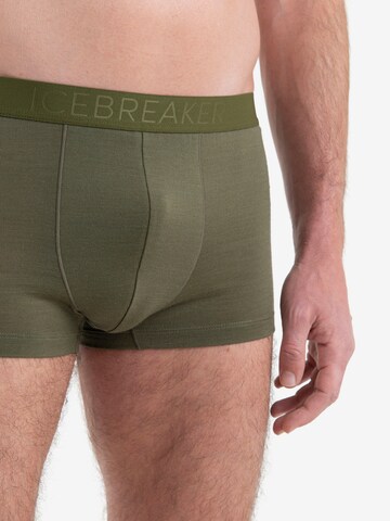 Pantaloncini intimi sportivi 'Anatomica' di ICEBREAKER in verde