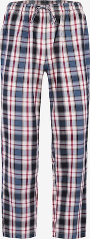 Sugar Pine Pajama pants ' Nightwear ' in Blue: front