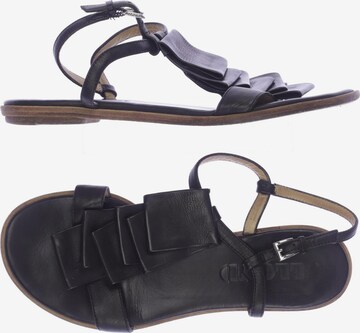 LLOYD Sandalen 37,5 in Schwarz: predná strana