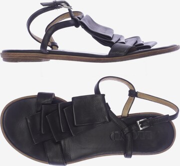 LLOYD Sandals & High-Heeled Sandals in 37,5 in Black: front