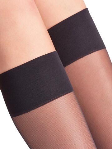 FALKE Knee High Socks 'Pure Matt' in Black
