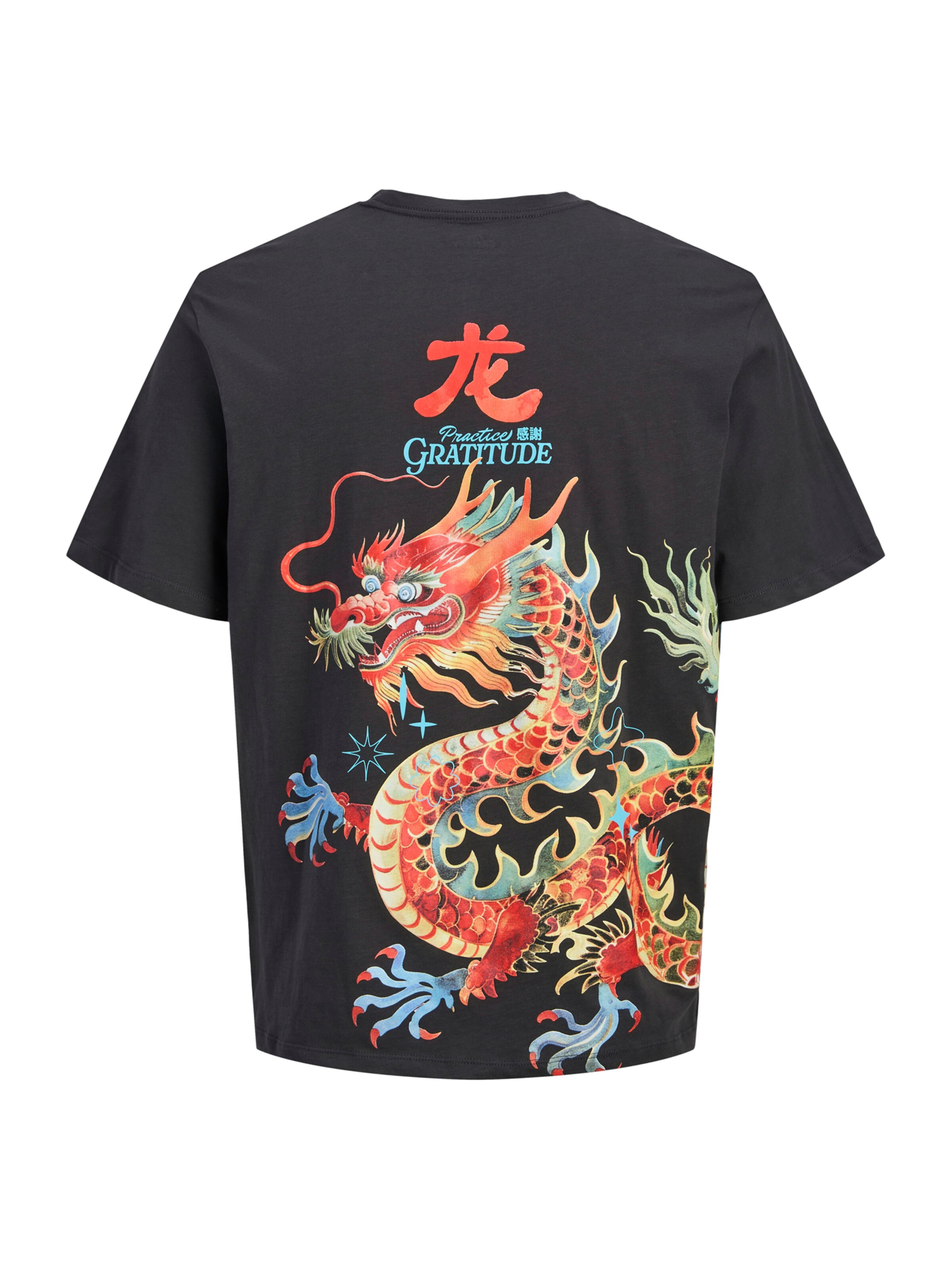 JACK & JONES T-Shirt 'JORBIG JAPAN' in Grau