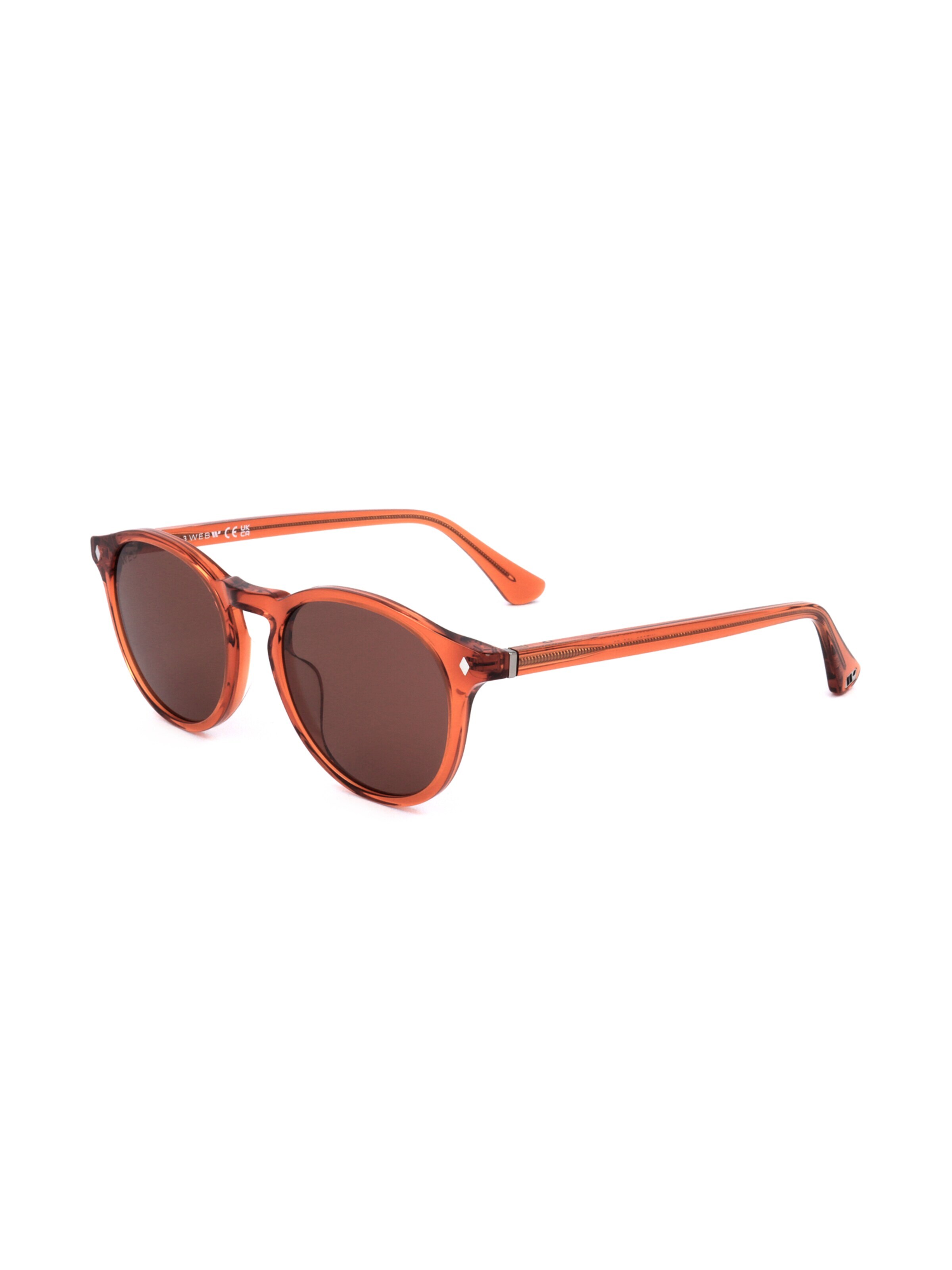 Occhiali da sole 'WE0328' di Web Eyewear in marrone: frontale